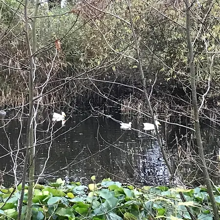 Διαμέρισμα Tante Jannis Sommerpension Bogense