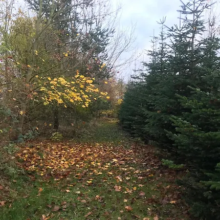 Διαμέρισμα Tante Jannis Sommerpension Bogense